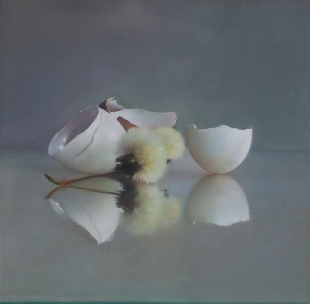 § Andrew Hemingway (1955-) Still life of eggshells and dandelion seeds 12 x 12in.